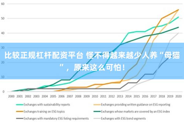 比较正规杠杆配资平台 怪不得越来越少人养“母猫”，原来这么可怕！