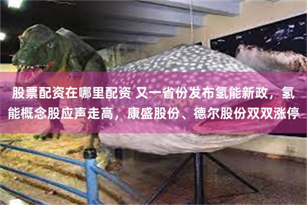 股票配资在哪里配资 又一省份发布氢能新政，氢能概念股应声走高，康盛股份、德尔股份双双涨停