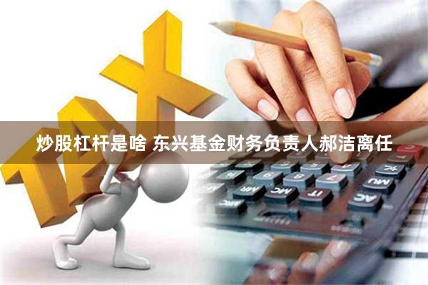 炒股杠杆是啥 东兴基金财务负责人郝洁离任