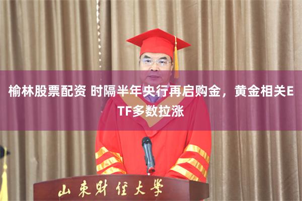 榆林股票配资 时隔半年央行再启购金，黄金相关ETF多数拉涨