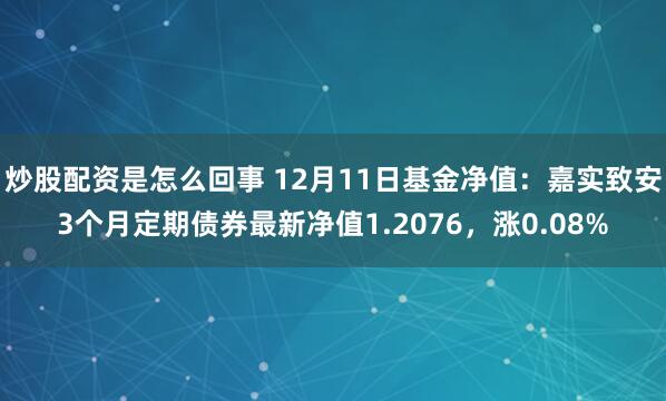 炒股配资是怎么回事 12月11日基金净值：嘉实致安3个月定期债券最新净值1.2076，涨0.08%