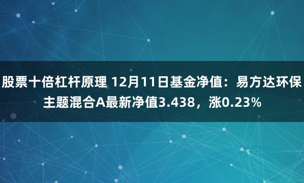 股票十倍杠杆原理 12月11日基金净值：易方达环保主题混合A最新净值3.438，涨0.23%