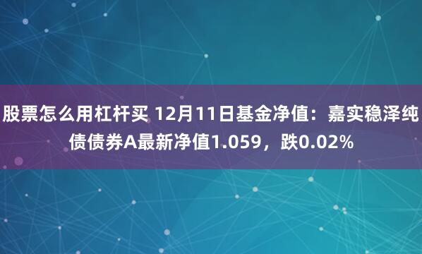 股票怎么用杠杆买 12月11日基金净值：嘉实稳泽纯债债券A最新净值1.059，跌0.02%