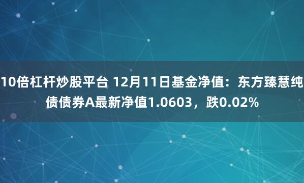 10倍杠杆炒股平台 12月11日基金净值：东方臻慧纯债债券A最新净值1.0603，跌0.02%