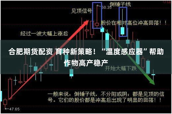 合肥期货配资 育种新策略！“温度感应器”帮助作物高产稳产