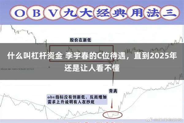 什么叫杠杆资金 李宇春的C位待遇，直到2025年还是让人看不懂