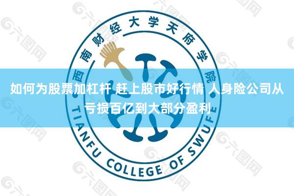 如何为股票加杠杆 赶上股市好行情 人身险公司从亏损百亿到大部分盈利