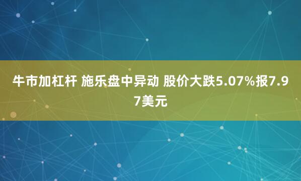 牛市加杠杆 施乐盘中异动 股价大跌5.07%报7.97美元