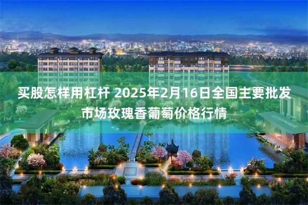 买股怎样用杠杆 2025年2月16日全国主要批发市场玫瑰香葡萄价格行情