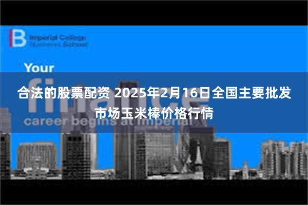 合法的股票配资 2025年2月16日全国主要批发市场玉米棒价格行情