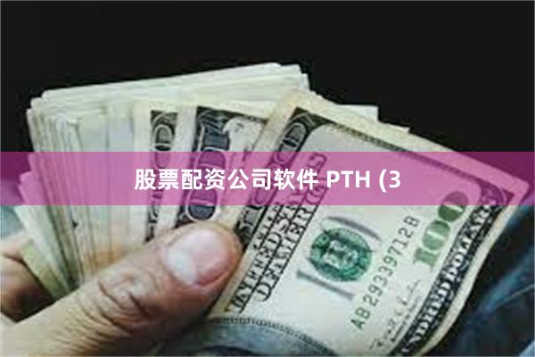 股票配资公司软件 PTH (3