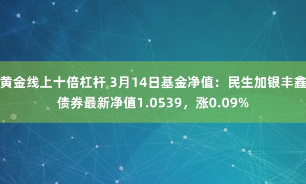 黄金线上十倍杠杆 3月14日基金净值：民生加银丰鑫债券最新净值1.0539，涨0.09%